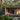 FAMILY HOUSES