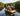 HOUSEBOAT LEVA