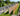 FENCES LEVA
